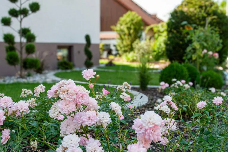 Farbenfroher Garten mit blühenden Rosen und gepflegtem Rasen, ideal für Gartenliebhaber und Entspannung.