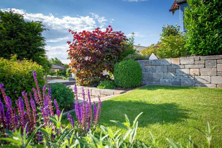 Blumengarten mit gepflegtem Rasen und robustem Staudenbeet.