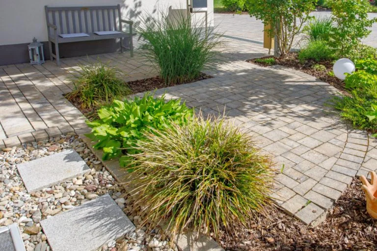 Kleine Terrasse mit Pflanzen und Steinweg