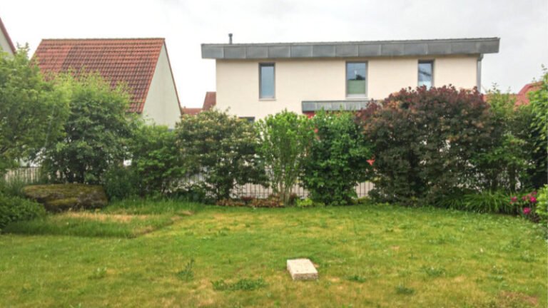 bella-flora-vorher-01