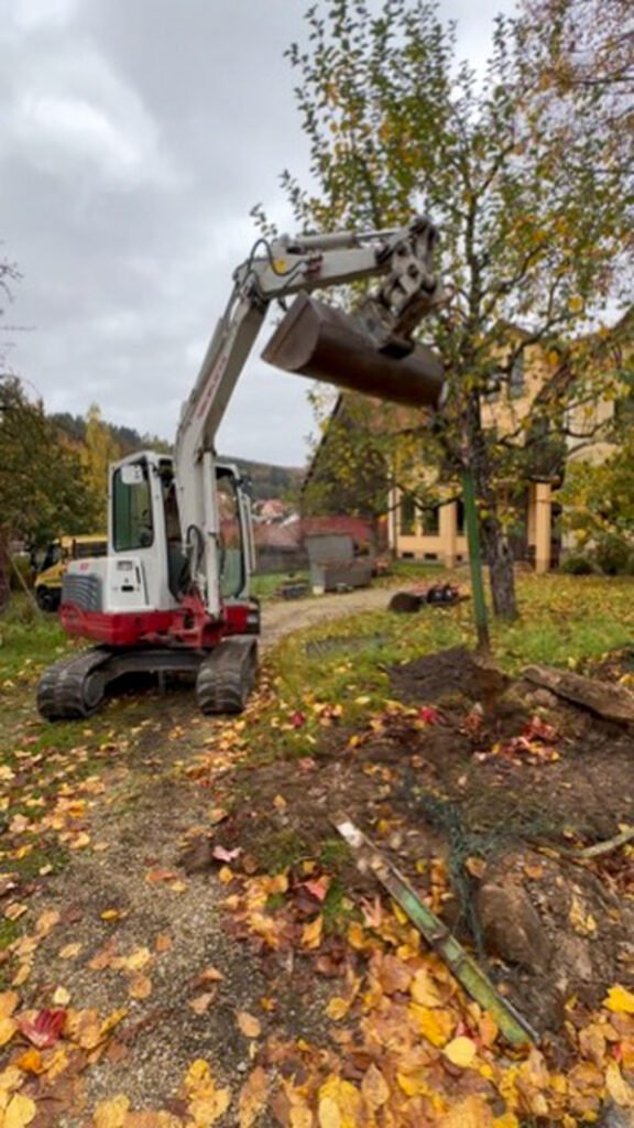 bella-flora-ausführung-gartenzaun-pretzfeld-3