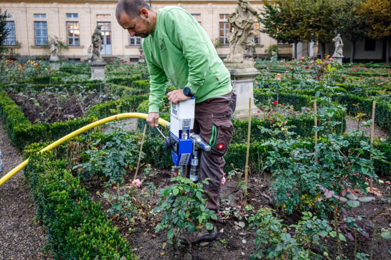 Bodeninjektion und Tiefenlockerung im historischen Rosenbeet mit Spezialgerät zur Bodenverbesserung in Effeltrich von BELLA FLORA GmbH.