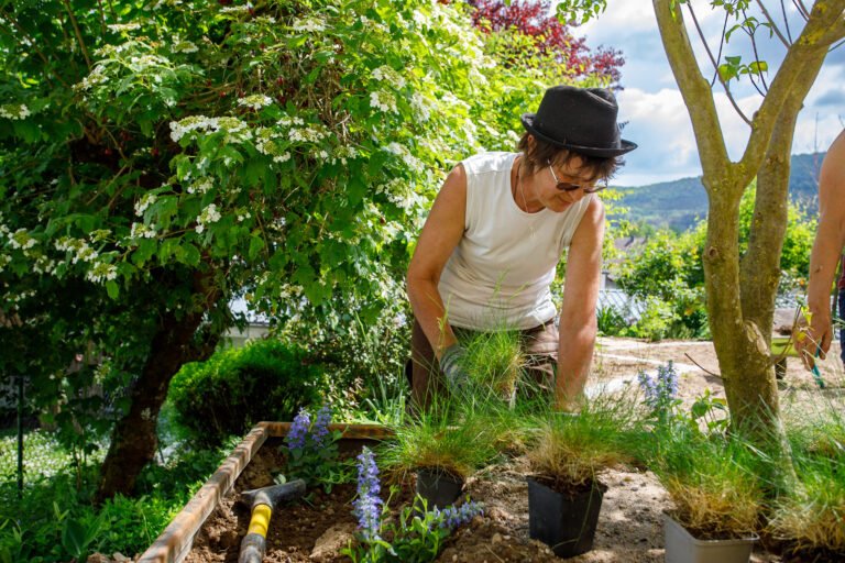 Pflanzarbeiten mit Stauden und Ziergräsern im Gartenbereich zur professionellen Gartengestaltung und Bepflanzung in Reuth von BELLA FLORA GmbH.