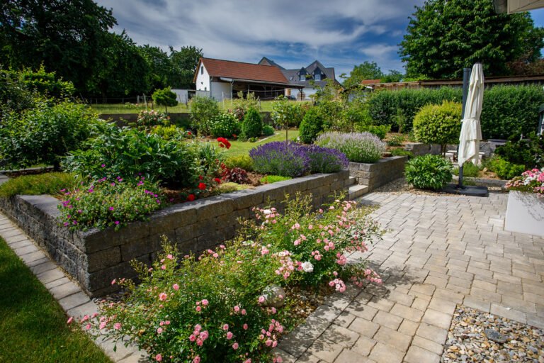 Terrassierte Gartenanlage mit Betonstein-Stützmauern, gepflasterter Terrasse, Stauden- und Rosenbeeten als hochwertige Gartengestaltung in Strullendorf von BELLA FLORA GmbH.