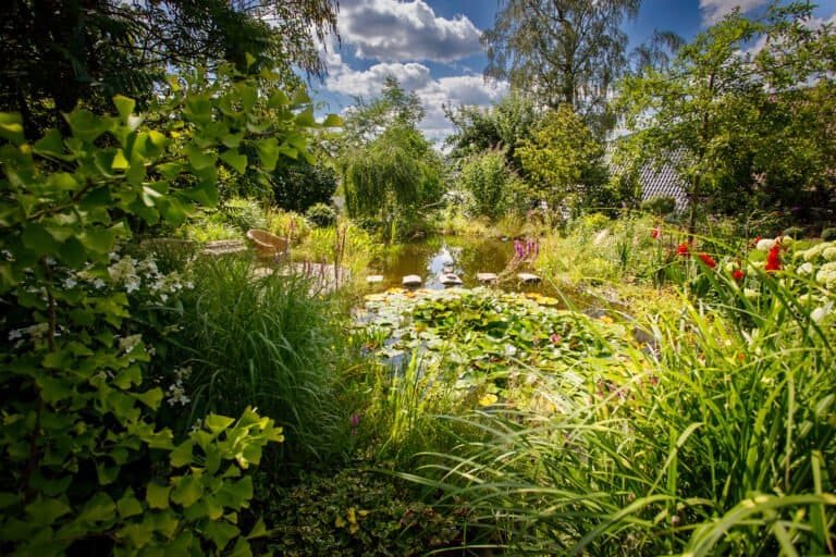 Naturnaher Gartenteich mit Seerosen, Trittsteinen, Sitzbereich und üppiger Ufer- und Sumpfbepflanzung als professionelle Teich- und Gartengestaltung in Pottenstein von BELLA FLORA GmbH.