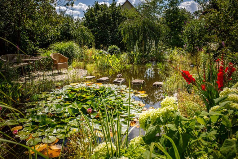 Naturnaher Gartenteich mit Seerosen, Trittsteinen, Sitzplatz und dichter Uferbepflanzung als professionelle Teich- und Gartengestaltung in Gößweinstein von BELLA FLORA GmbH.