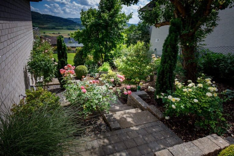 Terrassierter Hausgarten mit Betonsteintreppe, Rosenpflanzung, Staudenbeeten und strukturierter Hanggestaltung als hochwertige Gartengestaltung in Poxdorf von BELLA FLORA GmbH.