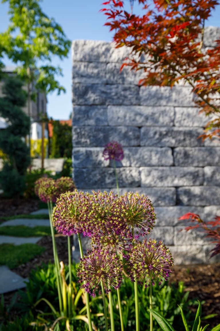 bella-flora-gmbh-projekt-mehrgenerationengarten-forchheim-71