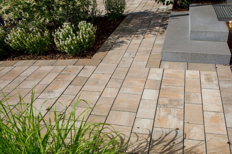 Detailansicht von gepflastertem Gartenweg aus Betonpflaster mit sauberer Randführung und angrenzenden Staudenbeeten zur fachgerechten Pflasterarbeit im Garten in Forchheim von BELLA FLORA GmbH.