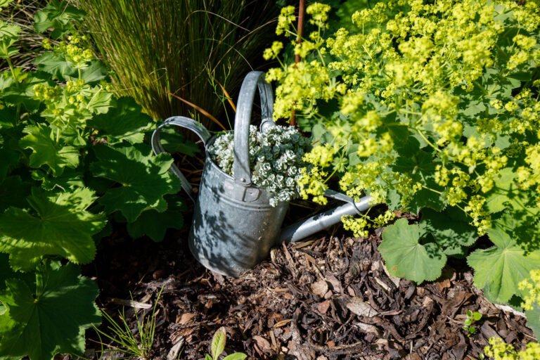 bella-flora-gmbh-projekt-streitberg-wunderschöne-sonnenterrasse-33