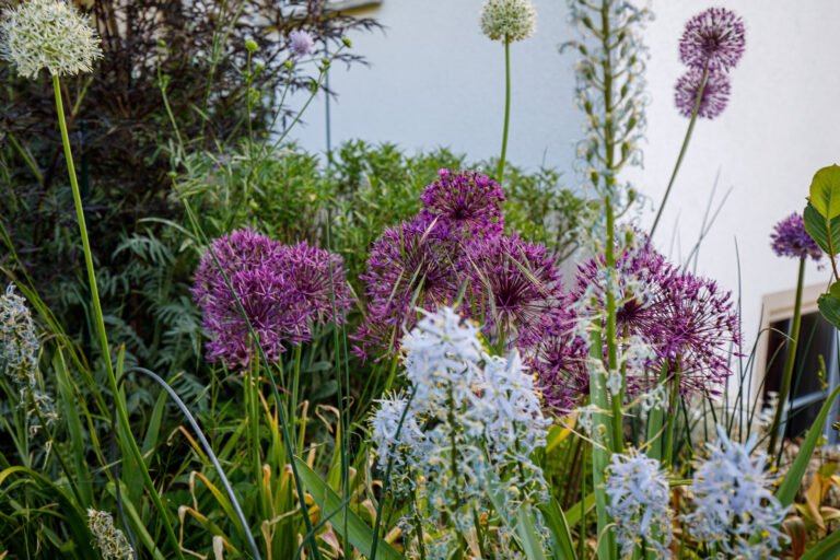 Blühende Staudenbeete und pflegeleichte Gräser