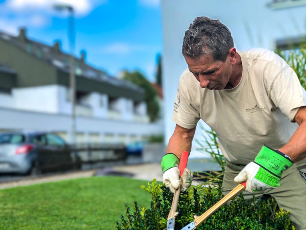 Fachgerechter Formschnitt einer Buchshecke mit Handheckenschere im Vorgarten einer Wohnanlage, professionelle Gartenpflege in Reuth von BELLA FLORA GmbH.