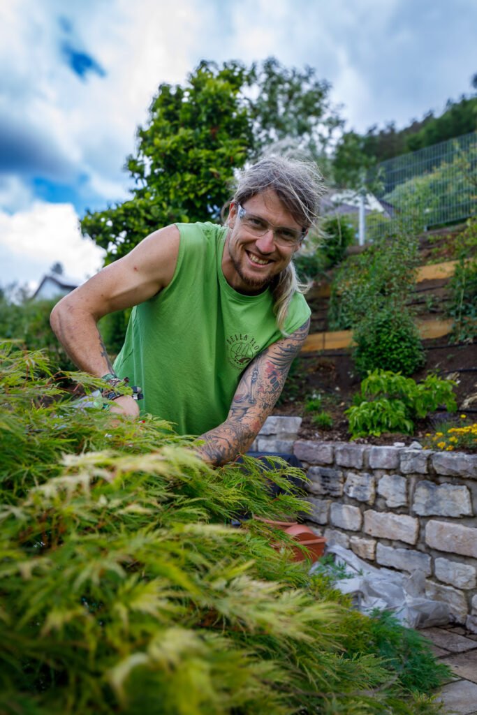 Fachgerechter Gehölzschnitt an einem japanischen Ahorn in einer terrassierten Gartenanlage mit Natursteinmauern, professionelle Gartenpflege im Privatgarten in der Fränkischen Schweiz von BELLA FLORA GmbH.