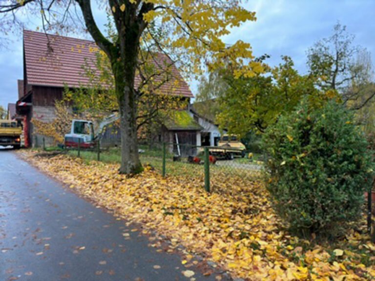 bella-flora-nachher-gartenzaun-eingangsweg-pretzfeld-5