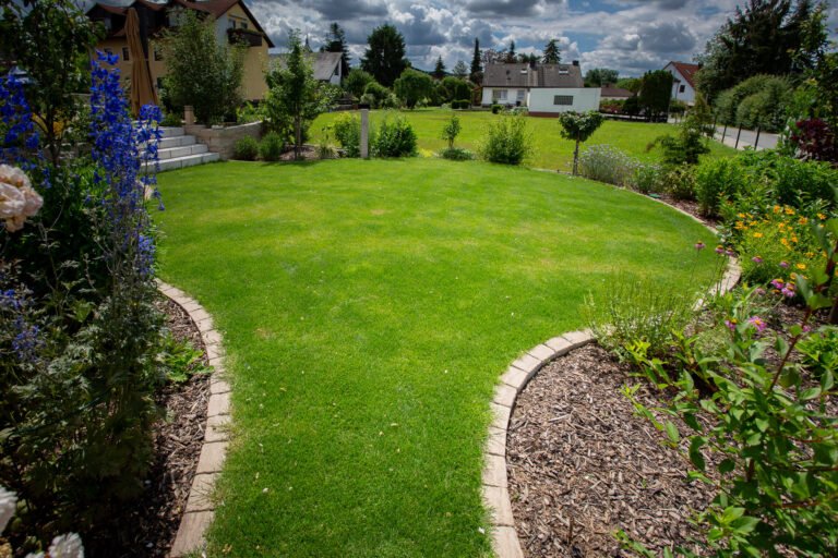 Großzügige, geschwungene Rasenfläche mit Betonpflaster-Rasenkante und umlaufenden Staudenbeeten, professionelle Gartengestaltung in Eggolsheim von BELLA FLORA GmbH.