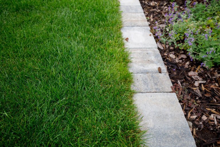 Sauber geschnittene Rasenkante mit Betonpflaster als Beet- und Rasenabgrenzung, fachgerechte Raseneinfassung und Gartenbau in Ebermannstadt von BELLA FLORA GmbH.