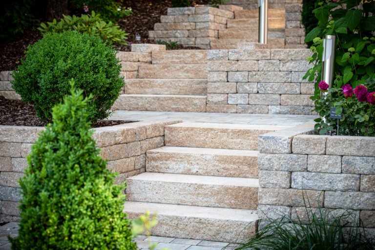 Terrassierte Betonstein-Stützmauer mit breiter Blockstufenanlage, Pflasterflächen und formgeschnittenen Gehölzen zur Gartengestaltung in Burk von BELLA FLORA GmbH.
