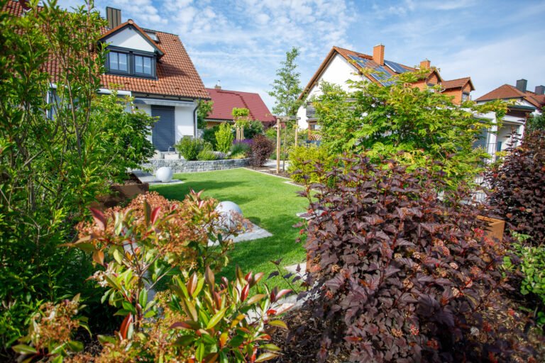 Modern gestalteter Hausgarten mit Rasenfläche, Staudenbeeten und formgeschnittenen Gehölzen im Neubaugebiet als professionelle Gartengestaltung in Ebermannstadt von BELLA FLORA GmbH.