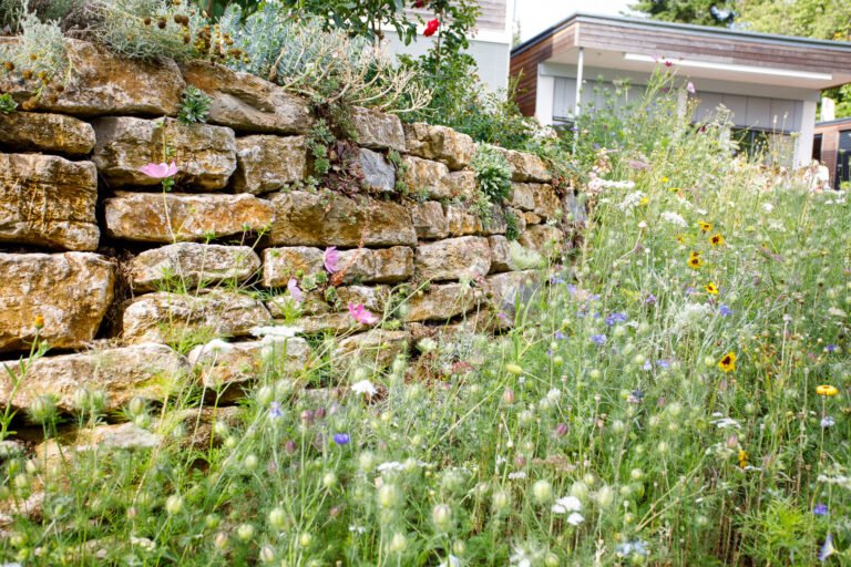 Detailansicht einer bepflanzten Naturstein-Trockenmauer aus Muschelkalk mit Staudenfugen zur Hangsicherung, fachgerechter Garten- und Landschaftsbau in Eggolsheim von BELLA FLORA GmbH.
