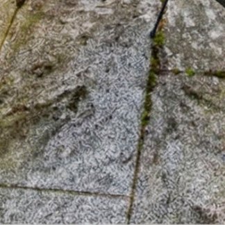 Verschmutzte Naturstein-Terrassenplatten mit Algen- und Moosbelag in den Fugen, Pflaster reinigen in Leutenbach von BELLA FLORA GmbH.