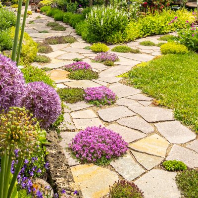Geschwungener Naturstein-Gartenweg mit unregelmäßigen Trittplatten und blühender Staudenbepflanzung als fachgerechte Garten- und Wegebauarbeit in Weilersbach von BELLA FLORA GmbH.