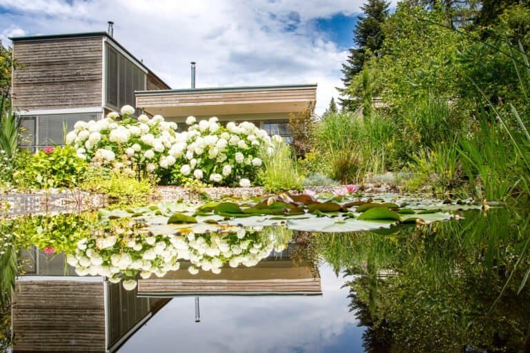 Moderner Gartenteich mit Seerosen, Kiesufer und Hortensien vor Holzhaus als Teichbau und Gartengestaltung in Heroldsbach von BELLA FLORA GmbH.