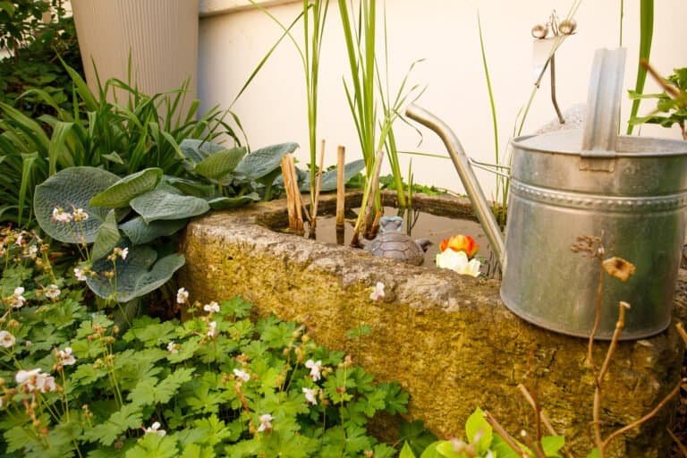 Kleiner Naturstein-Wassertrog mit Bepflanzung als Wasserelement im Gartenbau in Burk von BELLA FLORA GmbH.