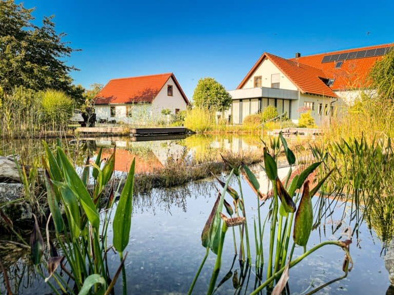 Großzügiger Schwimmteich mit Holzsteg, Uferbepflanzung und moderner Terrassengestaltung als Teichbau und Gartenanlage in Hirschaid von BELLA FLORA GmbH.